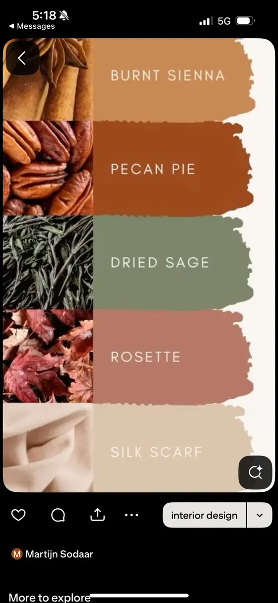A saved palette study on a phone screen, showing swatches named burnt sienna, pecan pie, dried sage, rosette and silk scarf